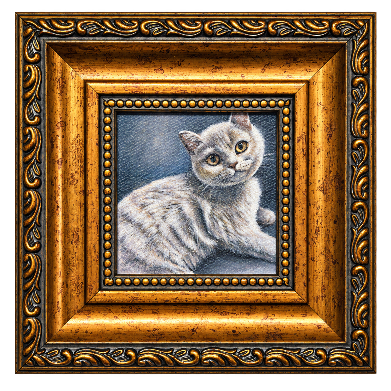 金色の額に入った灰色の猫の肖像。背景は透明です。